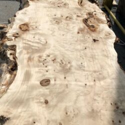 Mappa Burl Live Edge Slabs