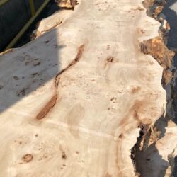 Mappa Burl Live Edge Slab