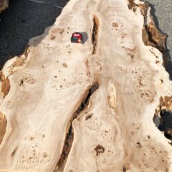 Mappa Burl Live Edge Slabs